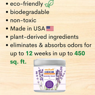 my Bad! Odor Eliminator Gel 15 oz - Lavender Bloom, Air Freshener - Eliminates Odors in Bathroom, Pet Area, Closets