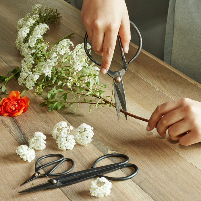 Scissor Set For Garden