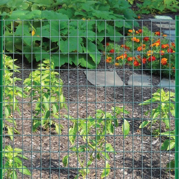 Garden Craft 24in H x 50ft L Green Vinyl Coated Steel Wire Fence with 2in x 3in Openings