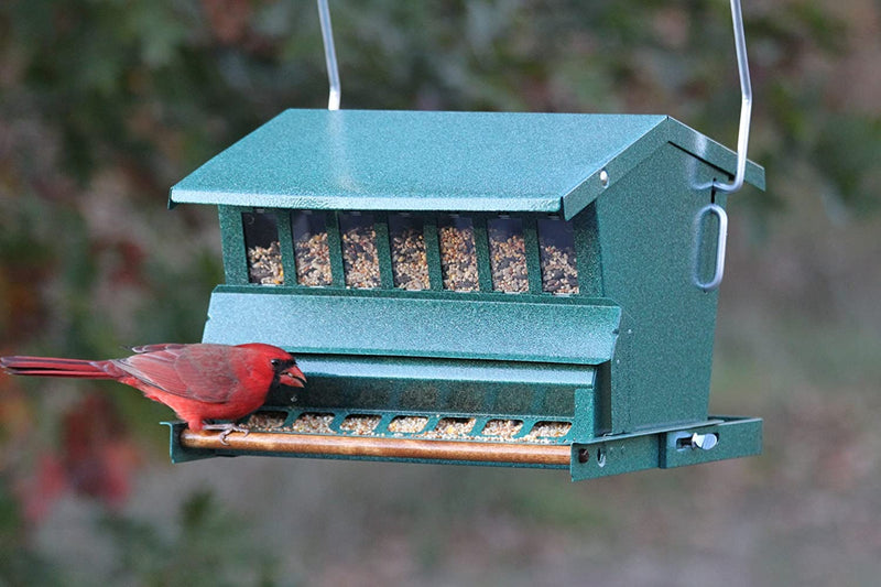 Woodlink Absolute Squirrel Resistant Bird Feeder Model 7533