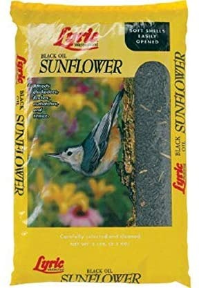 Arett L07-2647281 Black Oil Sunflower Seeds