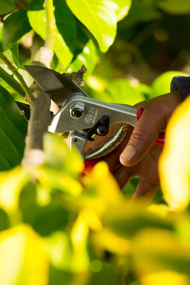 Felco Pruning Shears (F 13) - High Performance Swiss Made One-Hand or Two-Hand Garden Pruner with Steel Blade