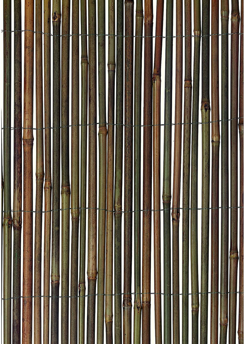 Gardman R636 Bamboo Fencing, 13&