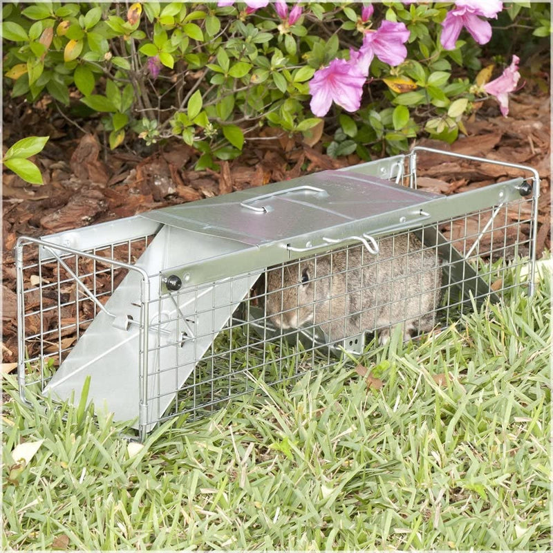Havahart 1030 Live Animal Two-Door Rabbit, Squirrel, Skunk, and Mink Cage Trap