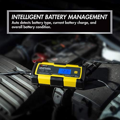 Wagan 7403 6V and 12V 4.0A Intelligent Battery Charger, Battery Maintainer, Fully-Automatic Smart Charger