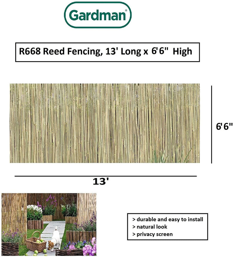 Gardman R668 Reed Fencing, 13&