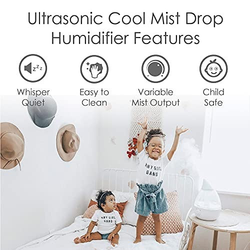 Crane Drop Ultrasonic Cool Mist Humidifier Filter Free 1 Gallon 500 Sq Ft Coverage for Plants Home Bedroom Baby Nursery and Office, Clear and White