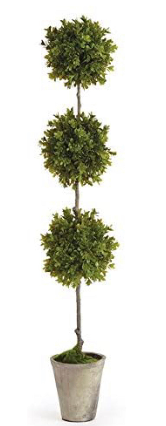 Napa Home & Garden BB Faux Boxwood 36" Topiary Potted