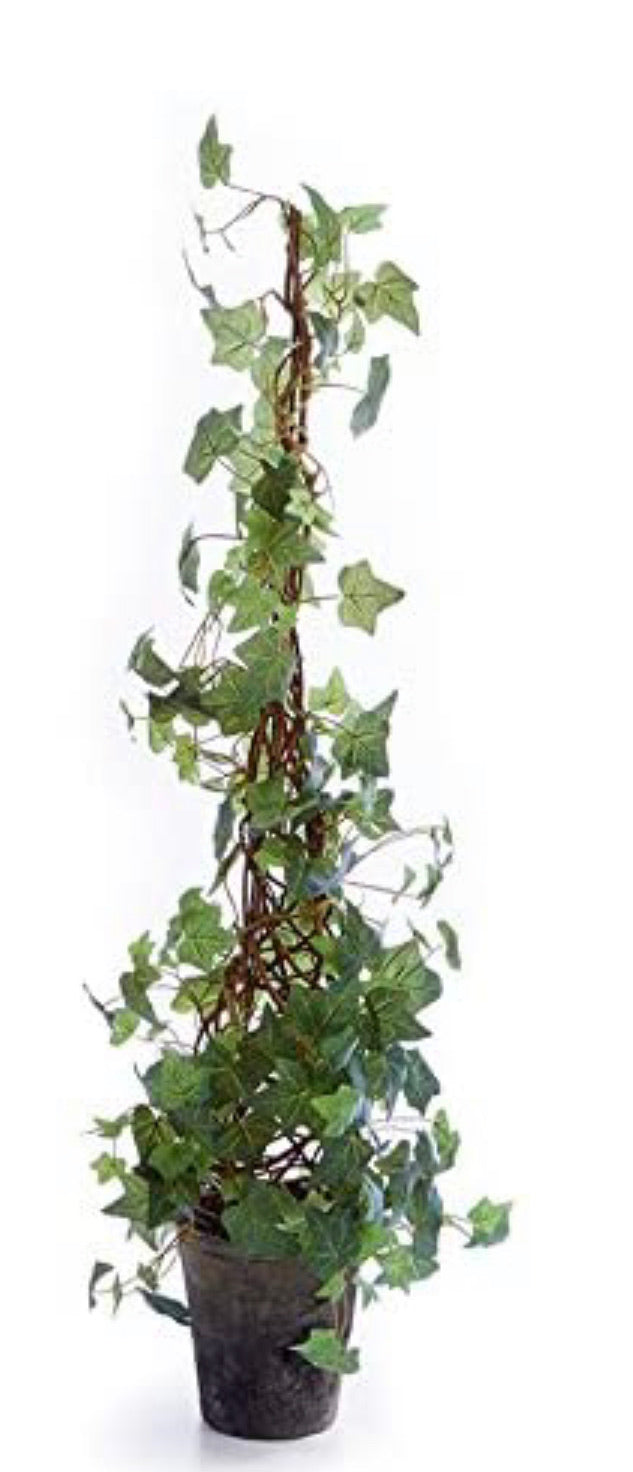 Napa Home & Garden Ivy 42" Cone Topiary Potted