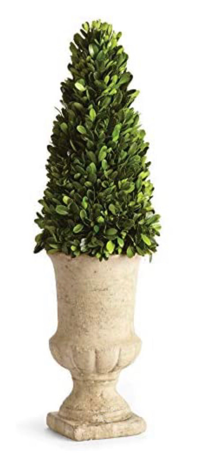 Napa Home and Garden Preserved Greens Topiary in Urn