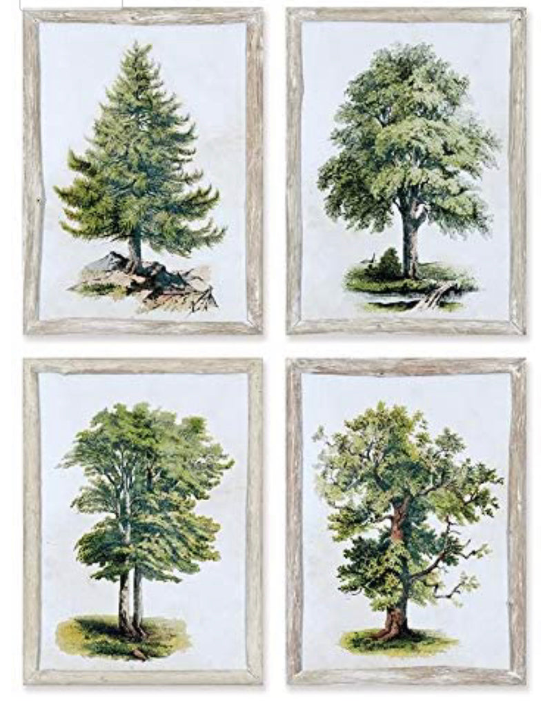 Napa Home & Garden Tree Study, Set of 4 Wall Art
