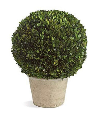 Napa Home & Garden Pg 12" Ball in Gray Pot