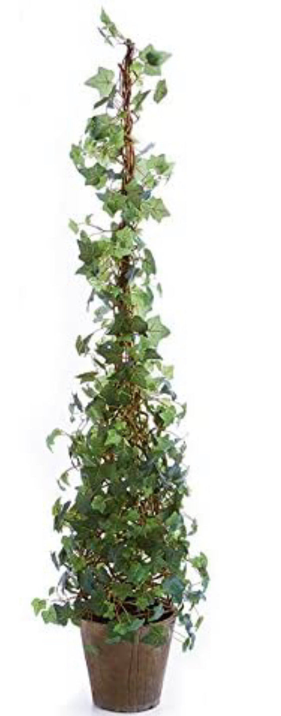 Napa Home & Garden Ivy 62" Cone Topiary Potted