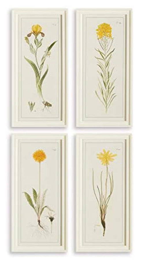Napa Home & Garden Yellow Flower Prints, Set of 4 Wall Art