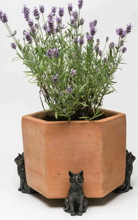 Jardinopia Potty Feet Cat Figures Planter Riser - Handmade Yard Art Ornaments - 3pcs