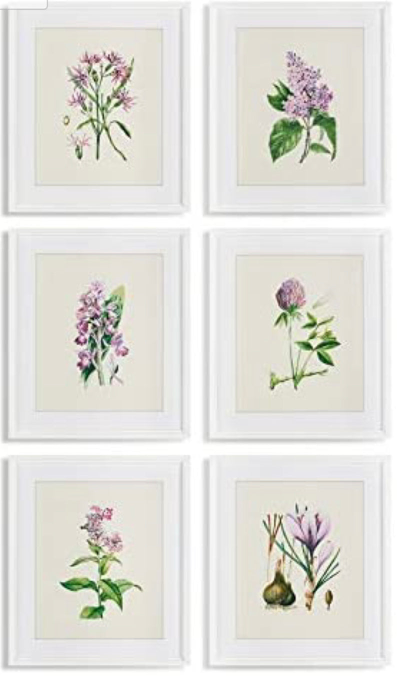 Napa Home & Garden Flower Study Prints, Set of 6 Wall Art