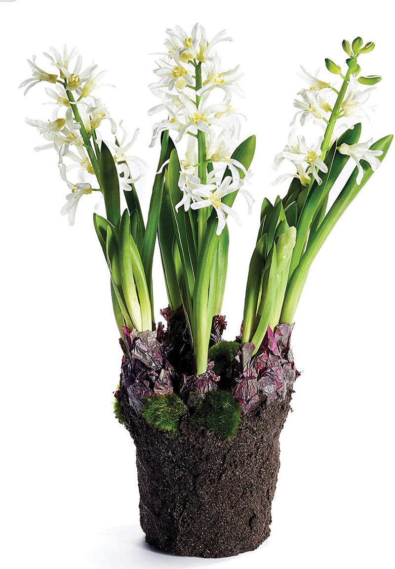 Napa Home & Garden Hyacinth Drop-in 16.5" White