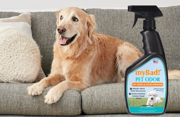 my Bad! Pet Stain & Odor Eliminator 3 Pack - Spray 24 oz each, Eliminates Pet Odor and Stains