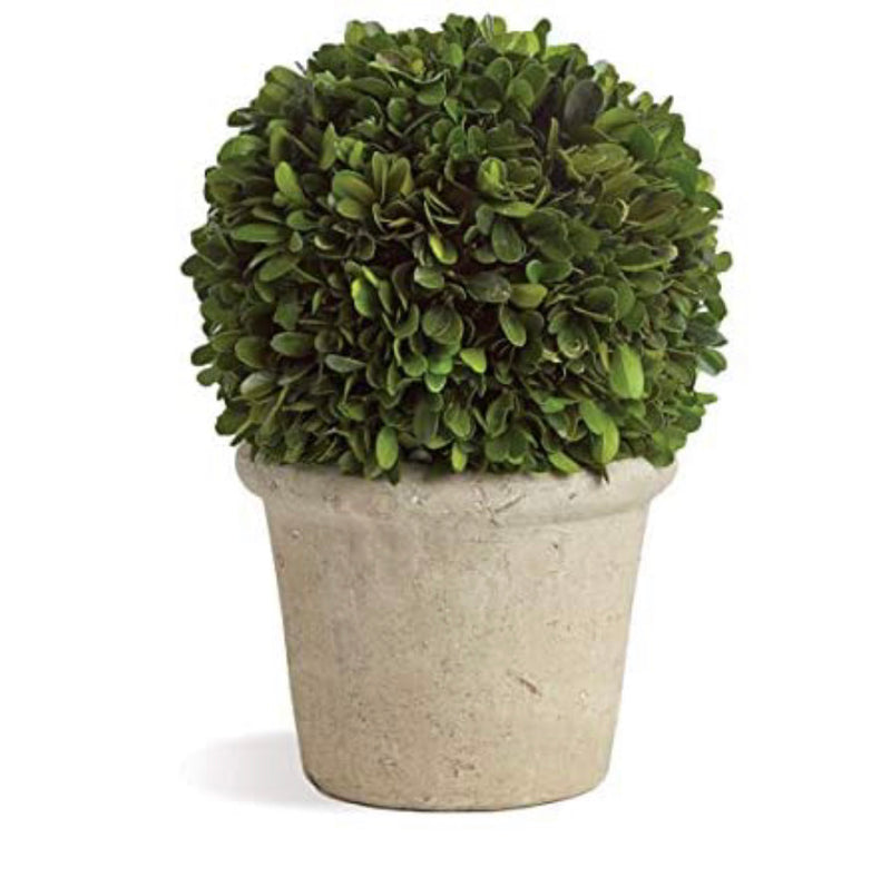 Preserved Boxwood Ball in Grey Pot, 8-Inch
