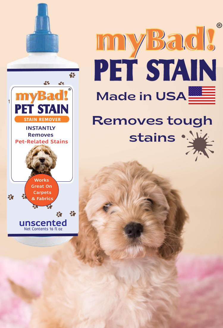 my Bad! Pet Stain Remover 16 oz (6 PACK)