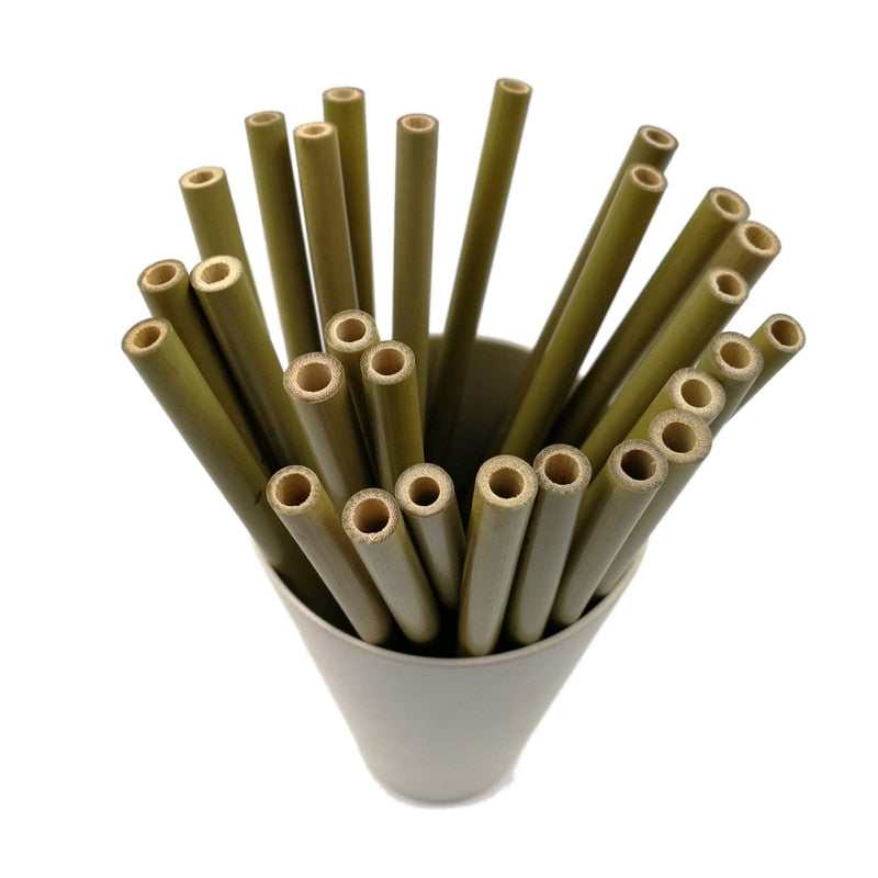 12pc Bamboo Reusable Drinking Straws home-place-store.myshopify.com [HomePlace] [Home Place] [HomePlace Store]